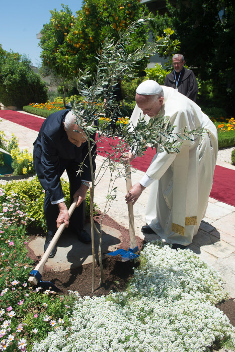 May, 2014: Pope Francis and President Shimon Peres of Israel plant an olive tree together in Jerusalem.